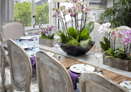biophilic design