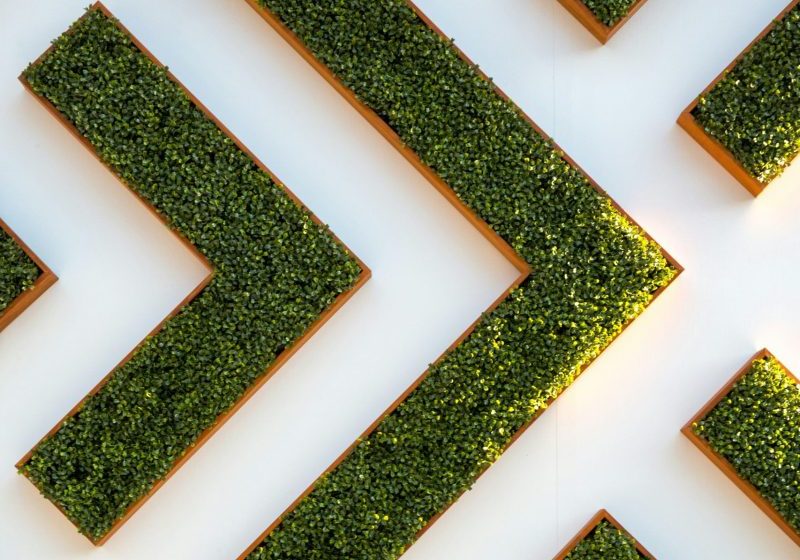 Biophilic design case study