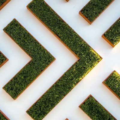 Biophilic design case study